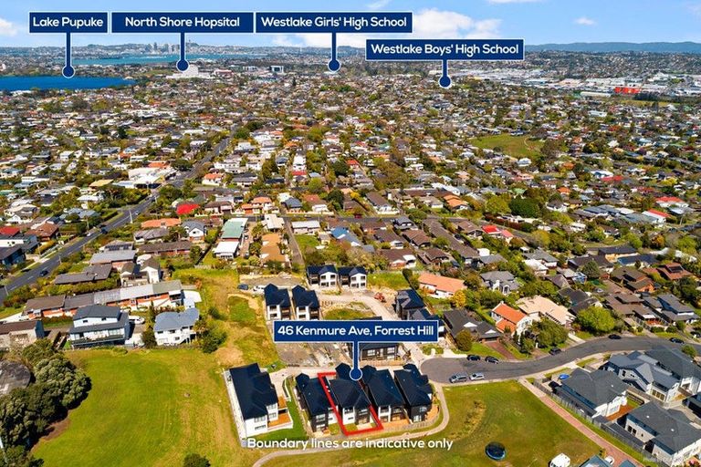 Photo of property in 46b Kenmure Avenue, Forrest Hill, Auckland, 0620