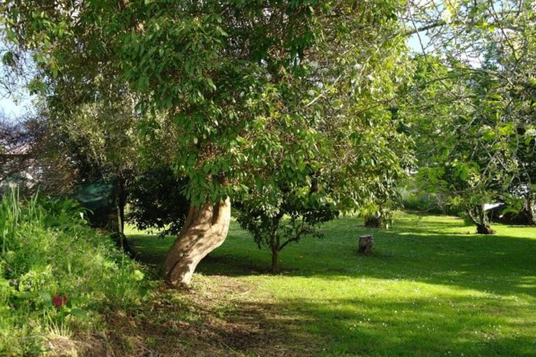 Photo of property in 22 Clarke Street, Waihi, 3610