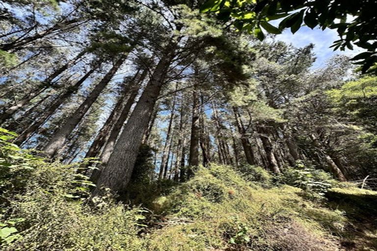 Photo of property in 13 Okuti Valley Road, Little River, 7591