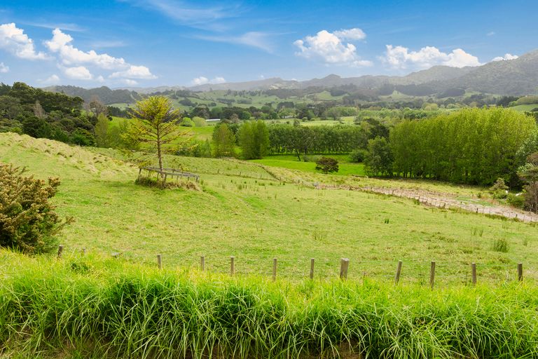 Photo of property in 50 Upper Whangateau Road, Big Omaha, Warkworth, 0985