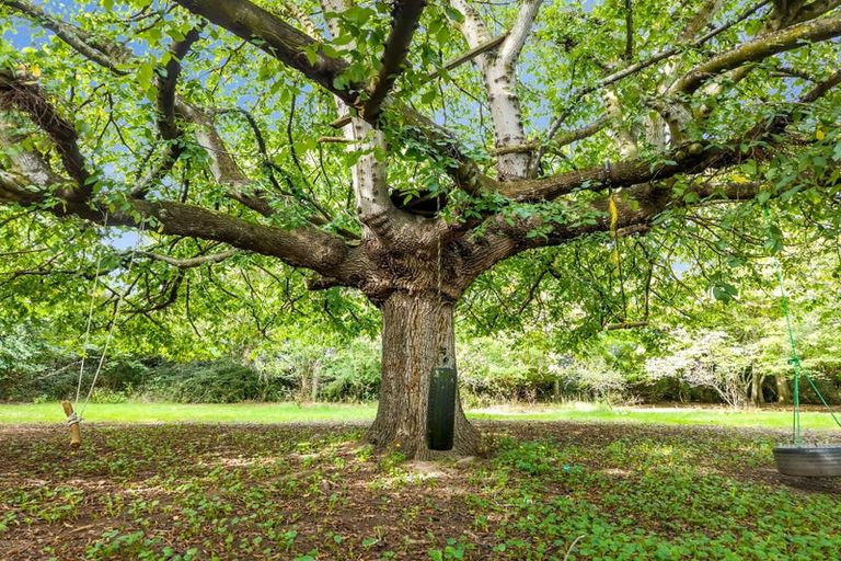 Photo of property in 13 Edievale Road, Edievale, Tapanui, 9587