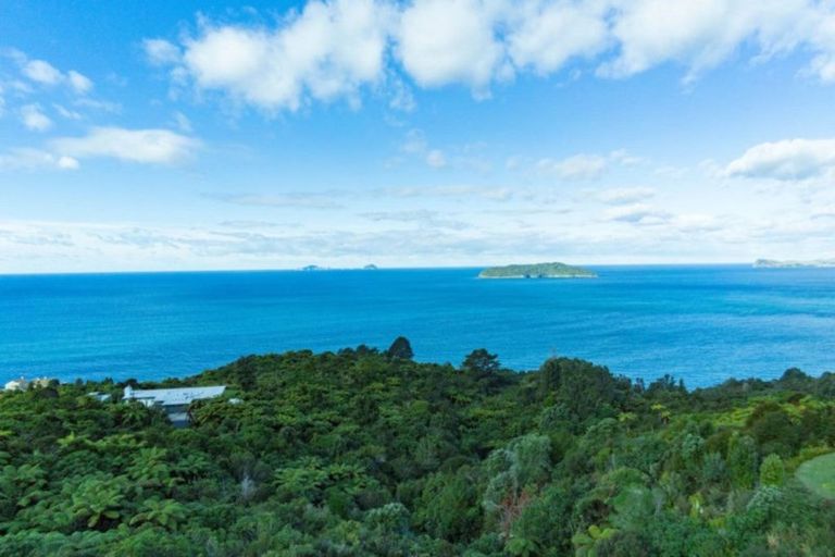 Photo of property in 180 Pumpkin Hill Road, Pumpkin Hill, Whitianga, 3591