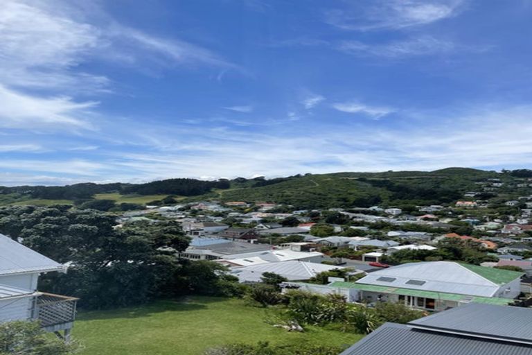 Photo of property in 39 Rhine Street, Island Bay, Wellington, 6023