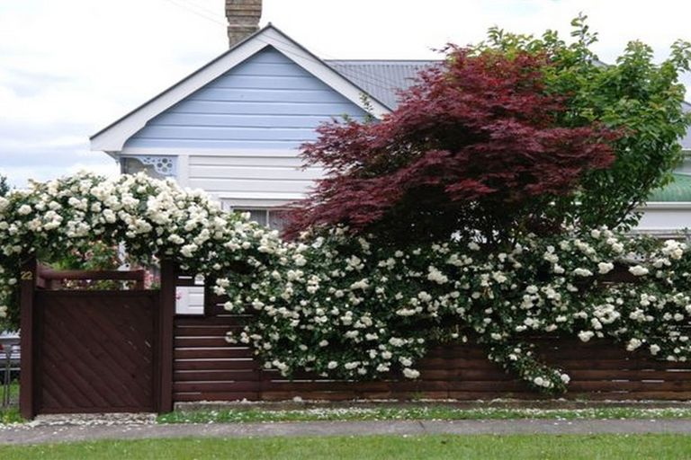 Photo of property in 22 Clarke Street, Waihi, 3610