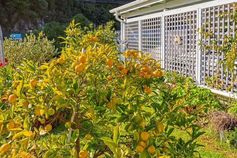 Photo of property in 101 Fergusson Drive, Thames, 3500