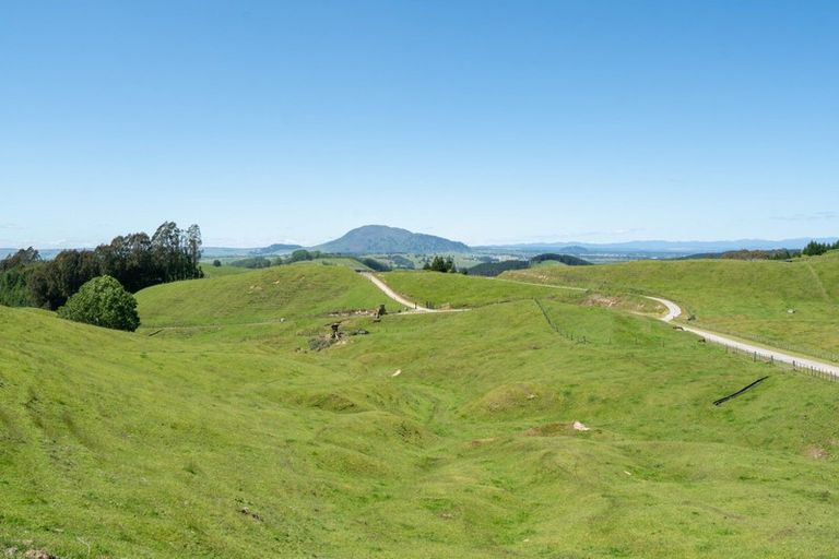 Photo of property in 483 Palmer Mill Road, Wairakei, Taupo, 3384