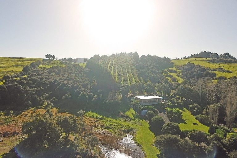 Photo of property in 64 De Boer Lane, Mangawhai, Kaiwaka, 0573