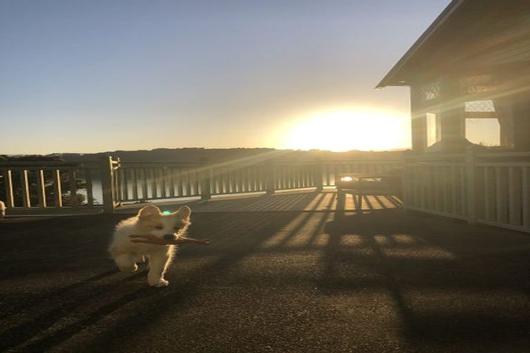 Photo of property in 48 Maida Vale Road, Roseneath, Wellington, 6011