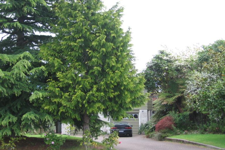 Photo of property in 93 Tamatea Road, Taupo, 3330