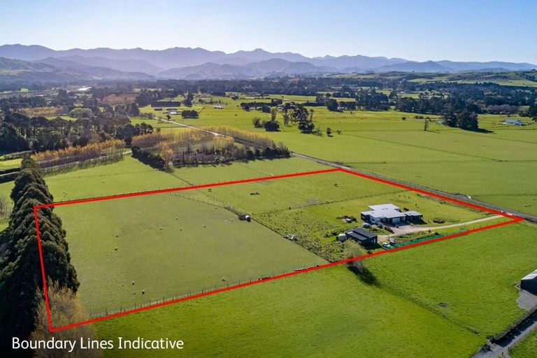 Photo of property in 255 West Bush Road, Upper Plain, Masterton, 5888