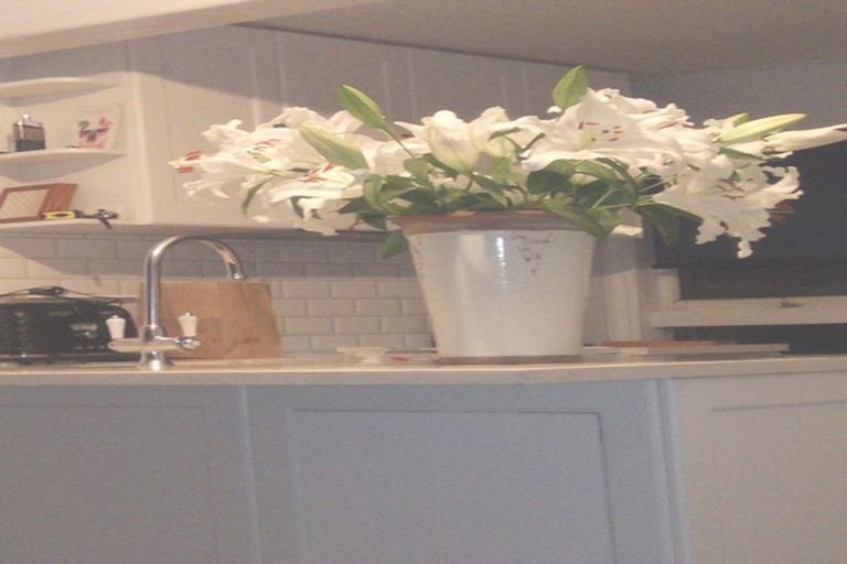 Photo of property in 75a Glendale Road, Glen Eden, Auckland, 0602