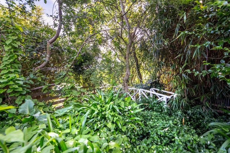 Photo of property in 31 Puriri Crescent, Lansdowne, Masterton, 5810