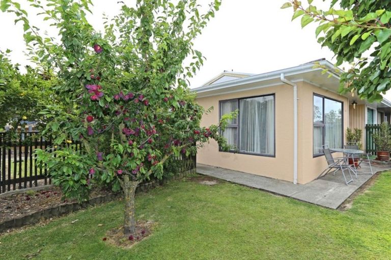 Photo of property in 1/800 Miller Street, Hastings, 4122