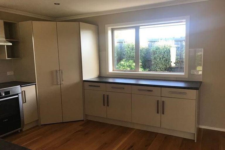 Photo of property in 22 Larne Place, Belfast, Christchurch, 8051