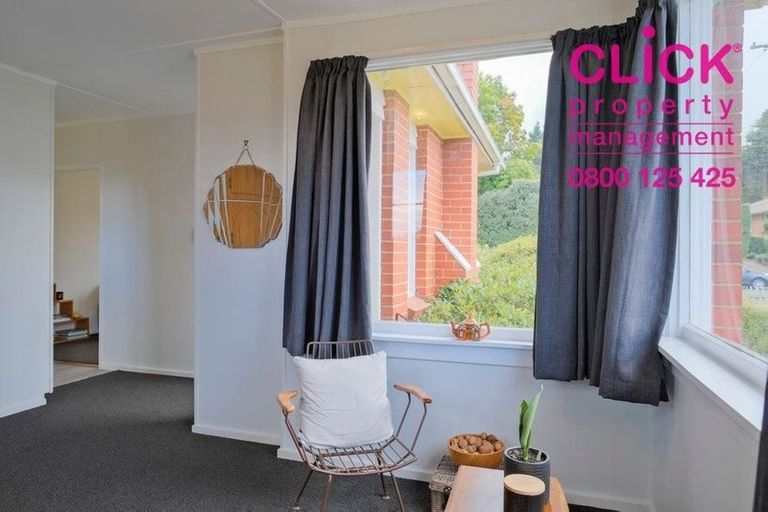 Photo of property in 443 Taieri Road, Halfway Bush, Dunedin, 9010