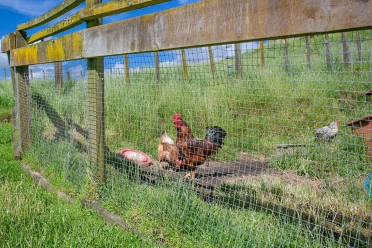 Photo of property in 11 Dunning Road, Karapiro, Cambridge, 3496