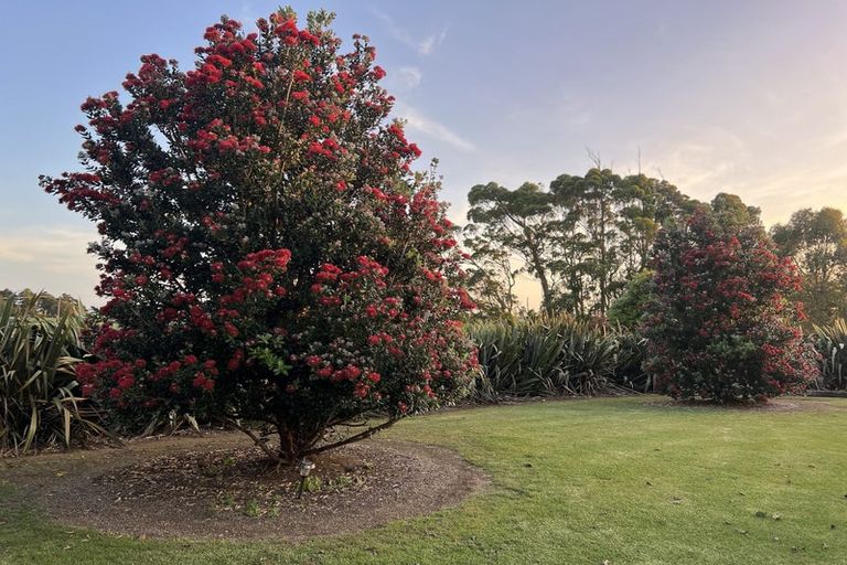 Photo of property in 39 Kendallvale Drive, Waiuku, 2123