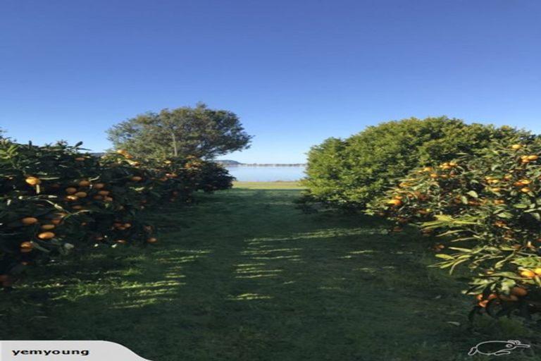 Photo of property in 6 Aileen Place, Whangamata, 3691