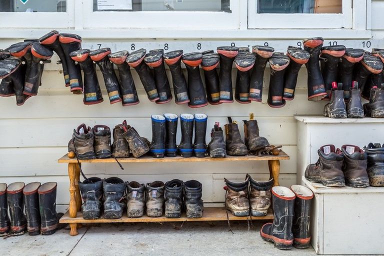 Photo of property in 80541 Masterton Road, Woodville, 4999