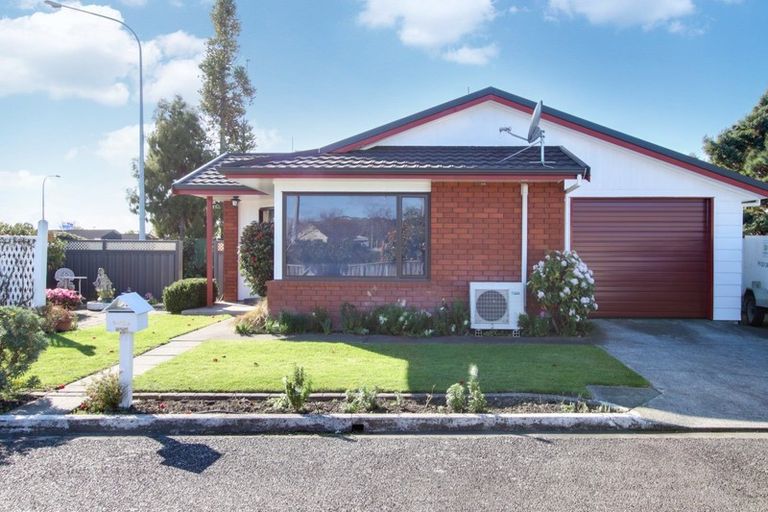 Photo of property in 133a Avondale Road, Greenmeadows, Napier, 4112