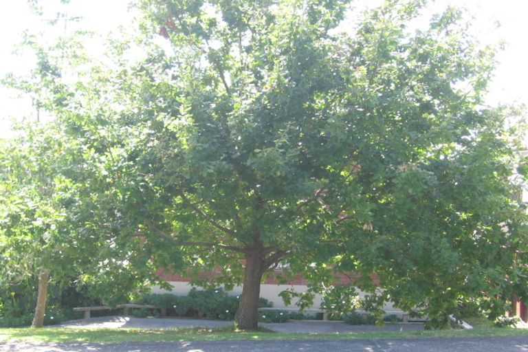 Photo of property in 35 Bournemouth Terrace, Murrays Bay, Auckland, 0630