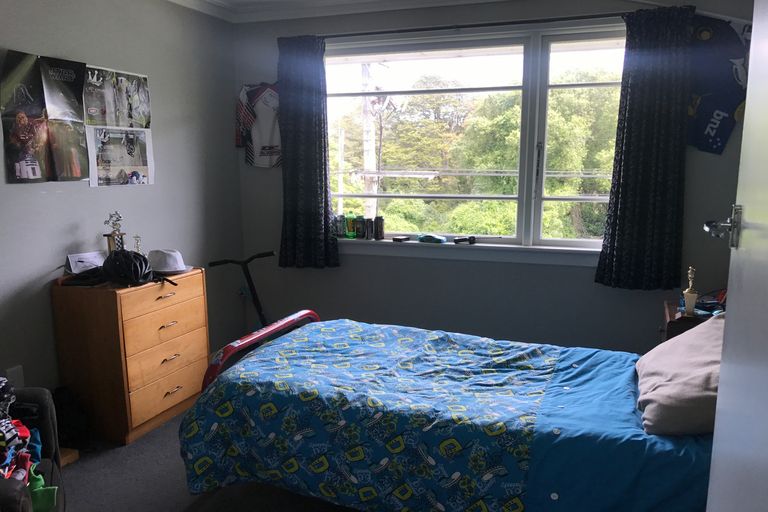 Photo of property in 230 Taieri Road, Wakari, Dunedin, 9010