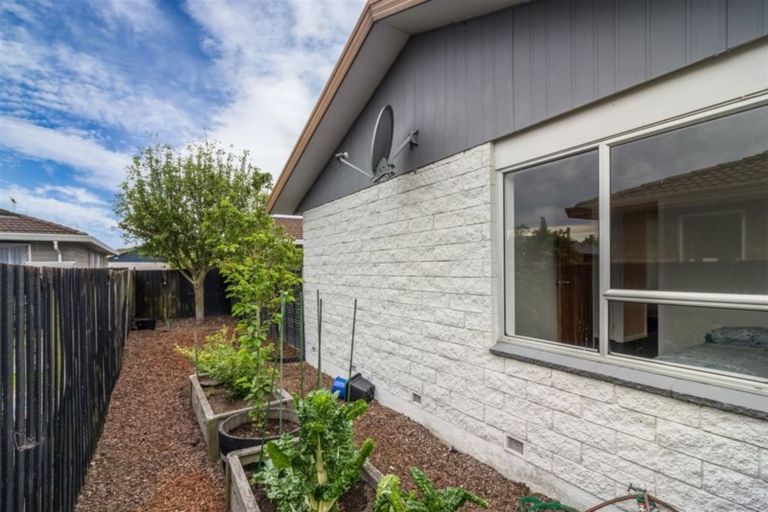 Photo of property in A/51 Third Street, Belfast, Christchurch, 8051