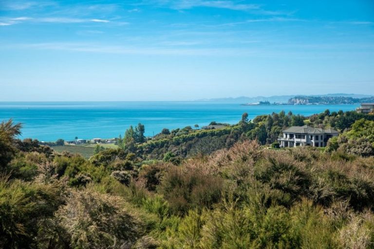 Photo of property in 156 Kaimata Road, Bay View, Napier, 4182