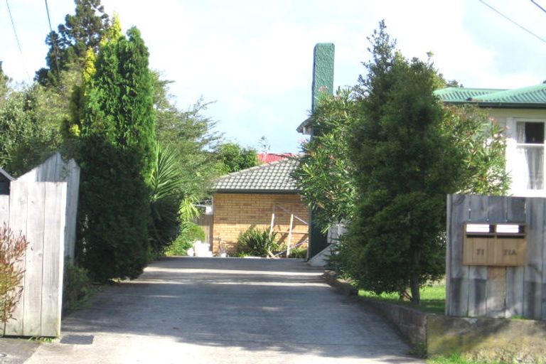 Photo of property in 71a Larnoch Road, Henderson, Auckland, 0610