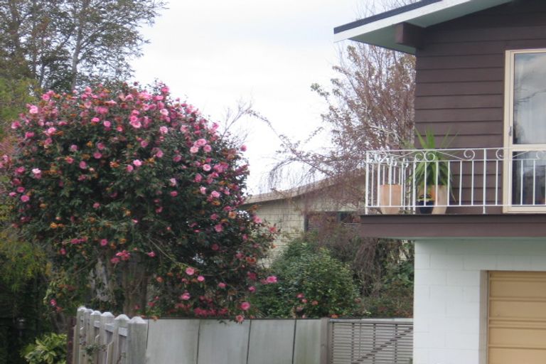 Photo of property in 9 Elmes Place, Matua, Tauranga, 3110