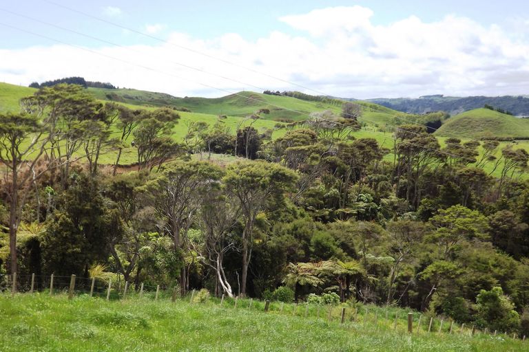 Photo of property in 23 Centrebush Lane, Raglan, 3295