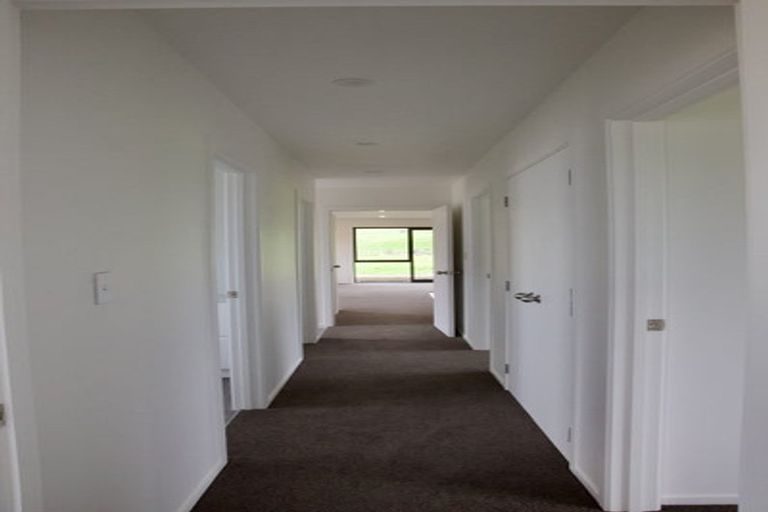 Photo of property in 1514 Run Road, Tapora, 0977