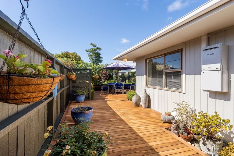 Photo of property in 52 Andrew Street, Waikanae, 5036