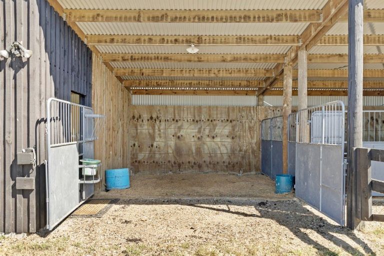 Photo of property in 45 Maskells Road, Balcairn, Amberley, 7481