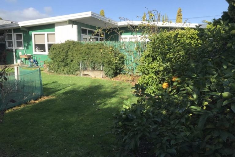 Photo of property in 16 Saxton Street, Levin, 5510