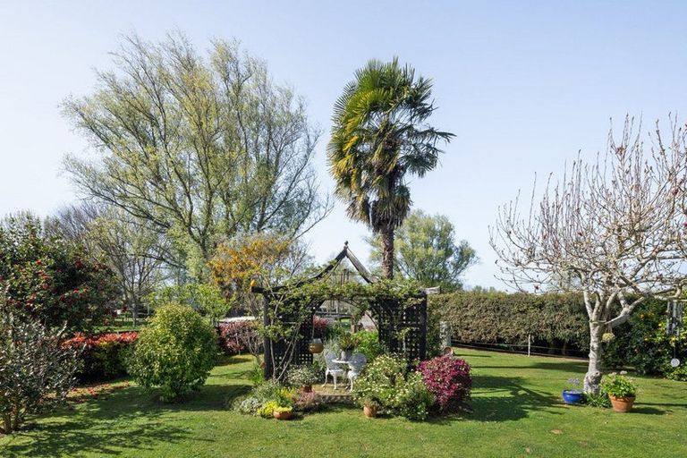 Photo of property in 166 Racecourse Road, Cambridge, 3493