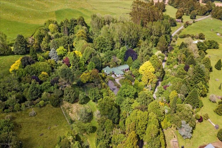 Photo of property in 488 Tapuwae Road, Maniaiti / Benneydale, Te Kuiti, 3987