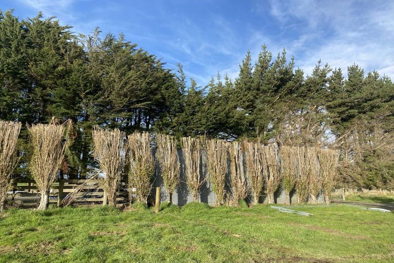 Photo of property in 388 Mill Road North, Myross Bush, Invercargill, 9876