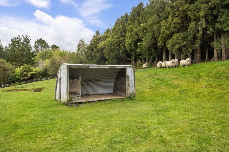 Photo of property in 397 Busby Road, Tahawai, Katikati, 3170