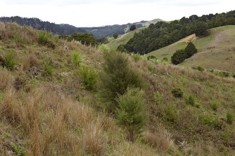 Photo of property in 43 Haul Road, Tahekeroa, Kaukapakapa, 0873