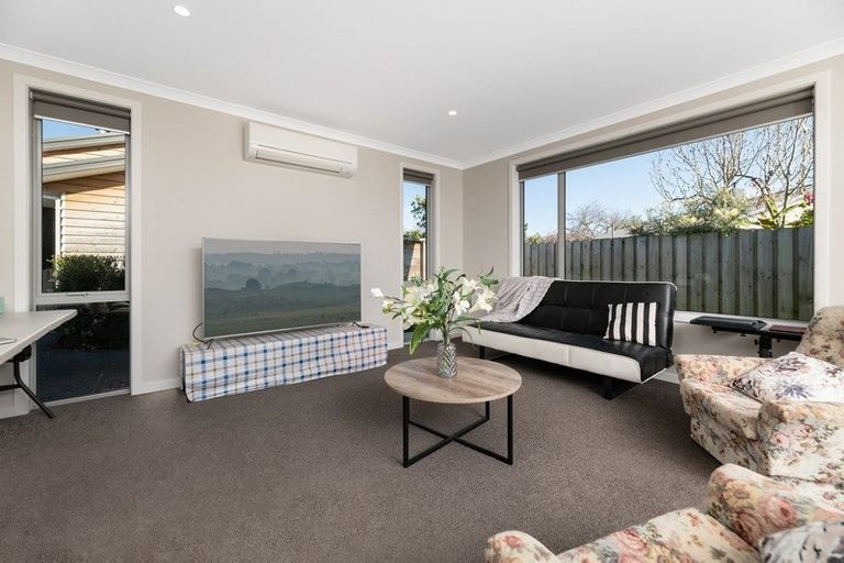 Photo of property in 50c Sixteenth Avenue, Tauranga South, Tauranga, 3112