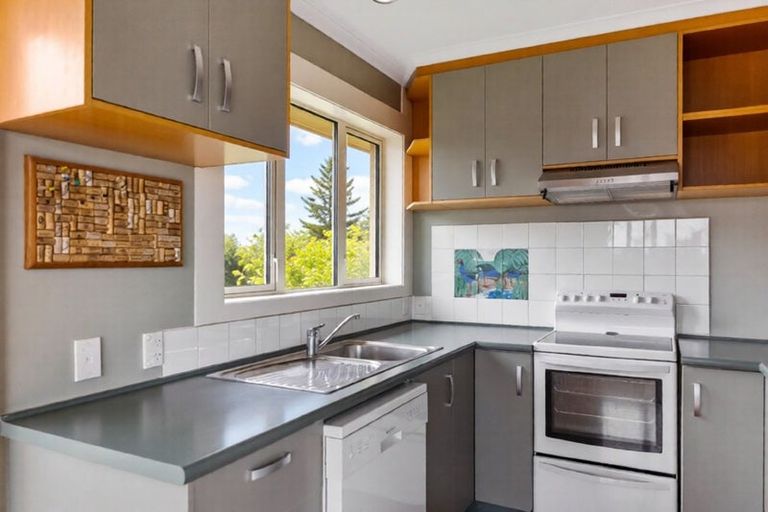 Photo of property in 7 Northfield Avenue, Opoho, Dunedin, 9010