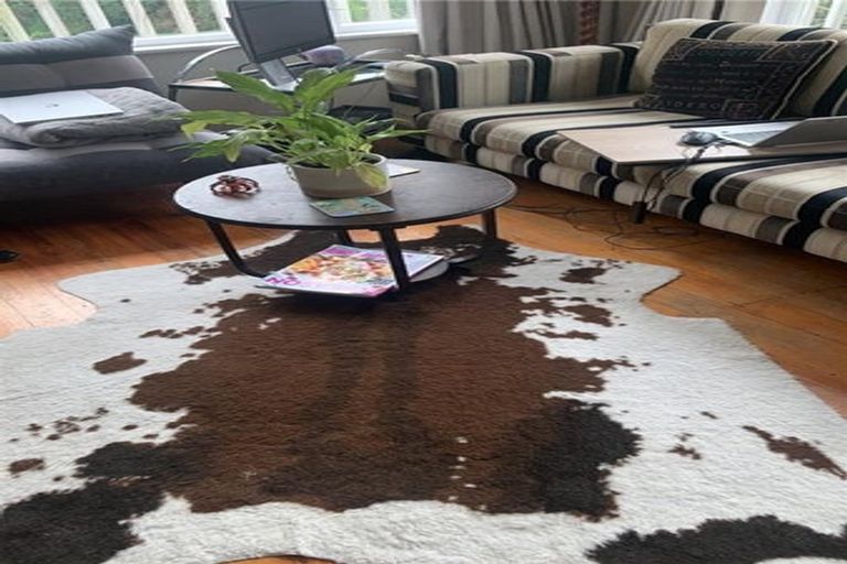 Photo of property in 17 Randwick Road, Northland, Wellington, 6012