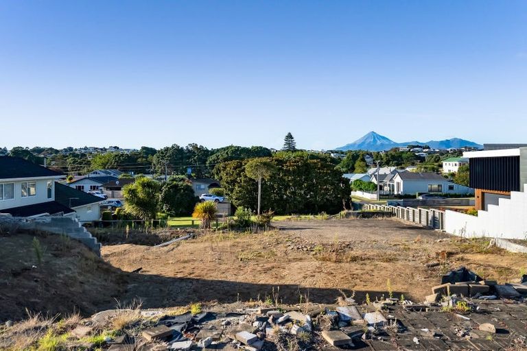 Photo of property in 38 Birdwood Avenue, Moturoa, New Plymouth, 4310