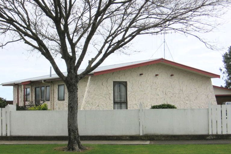 Photo of property in 8 Adkin Avenue, Levin, 5510