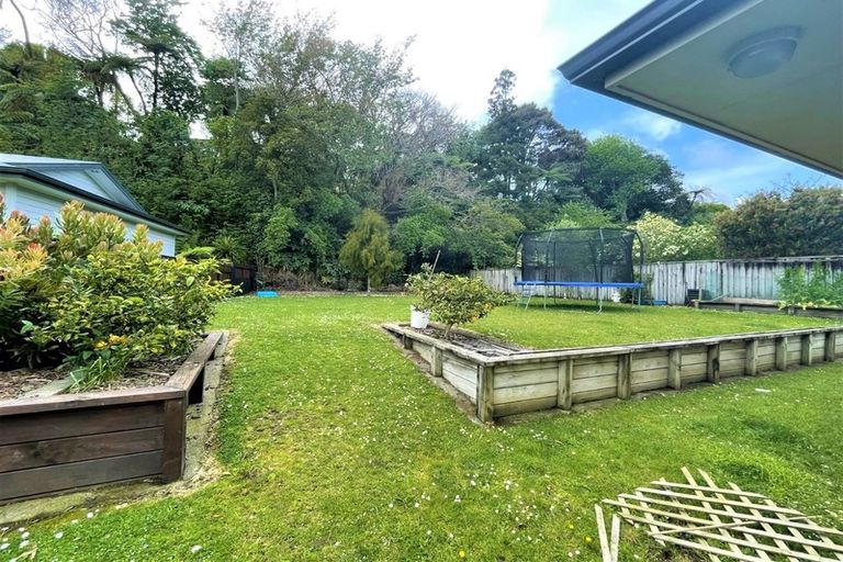 Photo of property in 51 Roto Street, Hurdon, New Plymouth, 4310