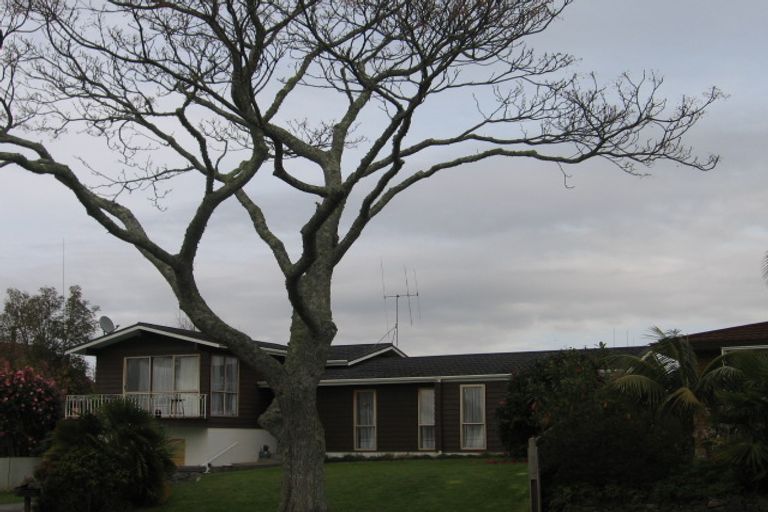 Photo of property in 7 Elmes Place, Matua, Tauranga, 3110