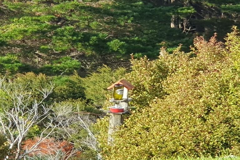 Photo of property in 15 Kowhai Place, Tuateawa, Coromandel, 3583