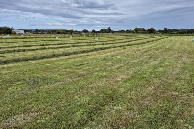 Photo of property in 223 Kaitangata Highway, Stirling, 9231
