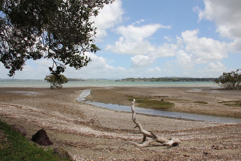 Photo of property in 372 Whangarei Heads Road, Tamaterau, Whangarei, 0174